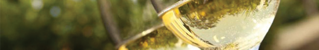 Vinos blancos