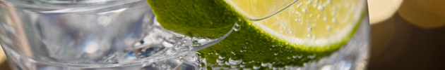 Gin