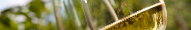 Vinos blancos