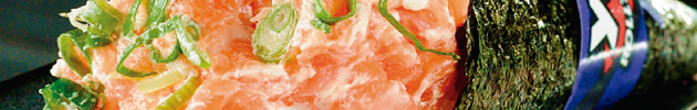 Temaki salmão