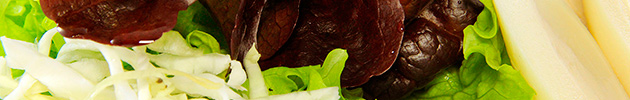Nuestras ensaladas / our salads
